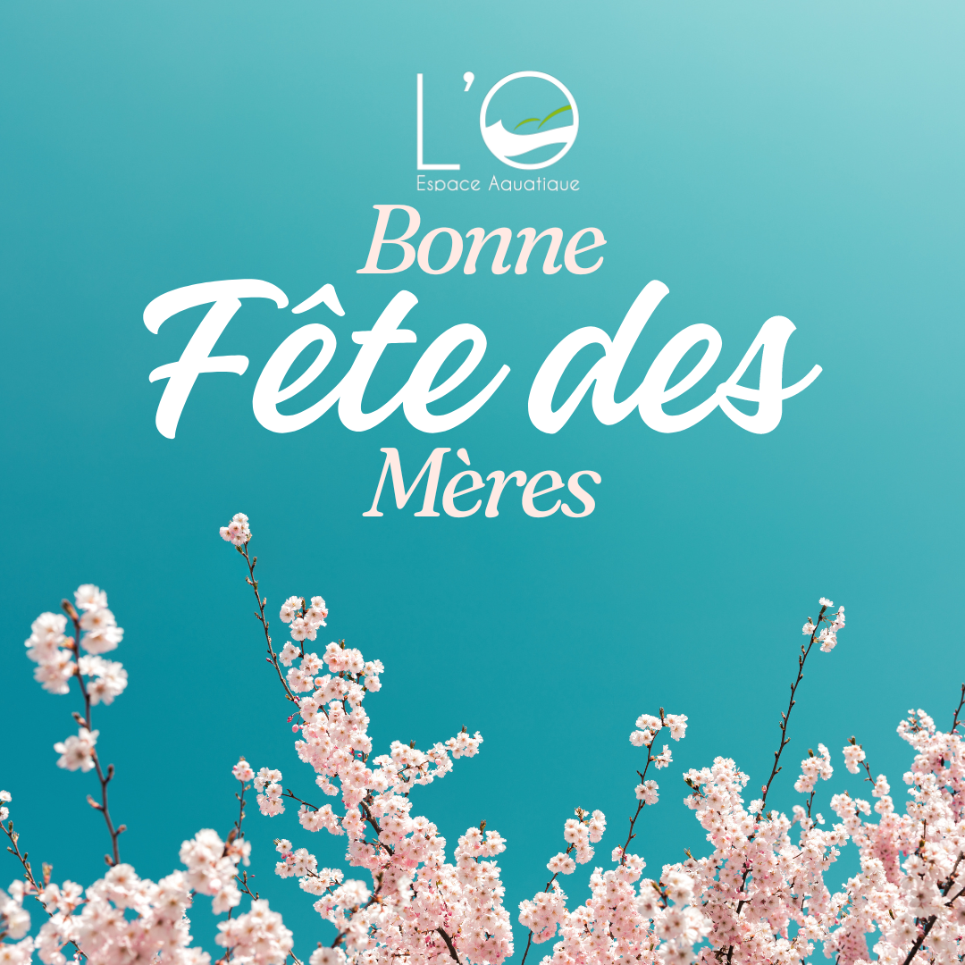 Publication Instagram Fête des Mères Moderne Rose et Bleu
